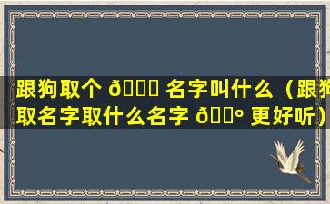 跟狗取个 🐕 名字叫什么（跟狗取名字取什么名字 🌺 更好听）